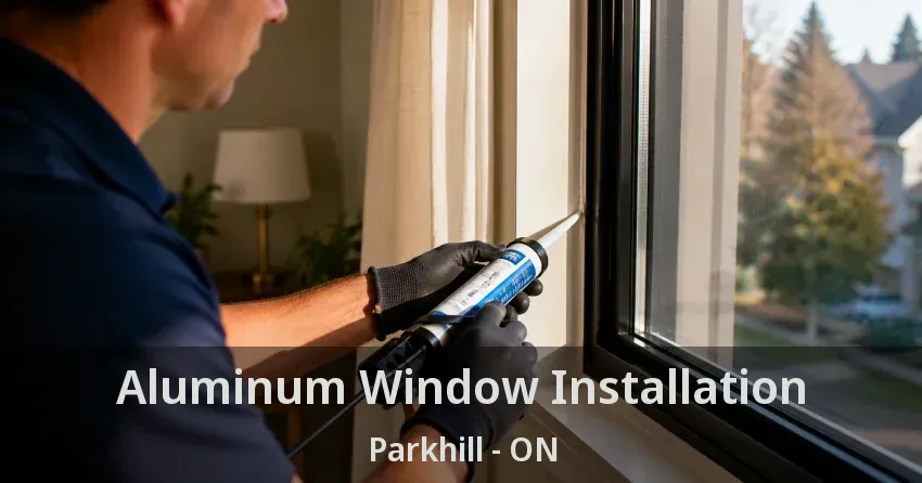 Aluminum Window Installation Parkhill - ON