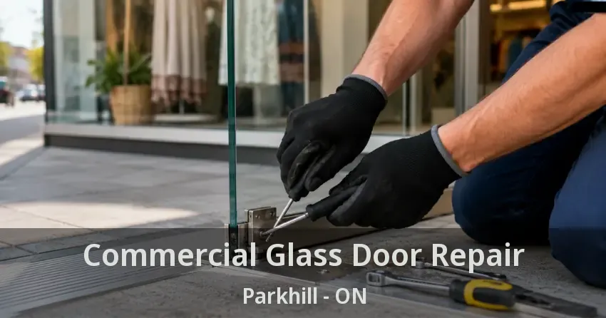 Commercial Glass Door Repair Parkhill - ON