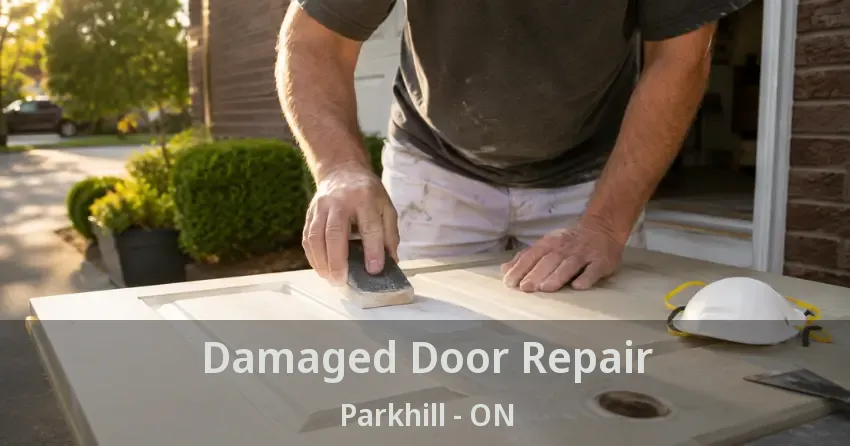 Damaged Door Repair Parkhill - ON