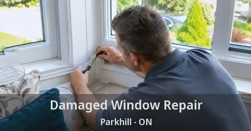 Damaged Window Repair Parkhill - ON