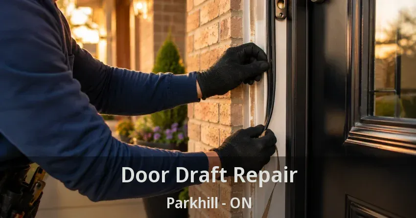 Door Draft Repair Parkhill - ON