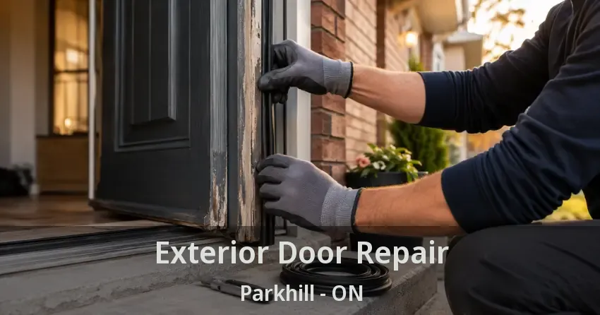 Exterior Door Repair Parkhill - ON