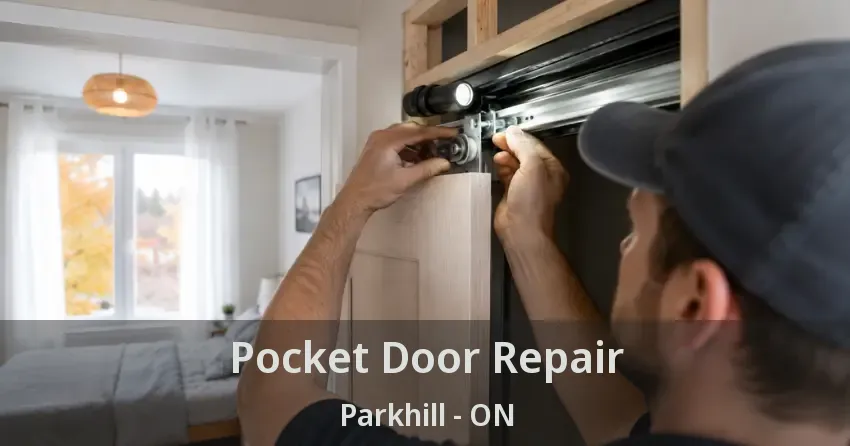 Pocket Door Repair Parkhill - ON