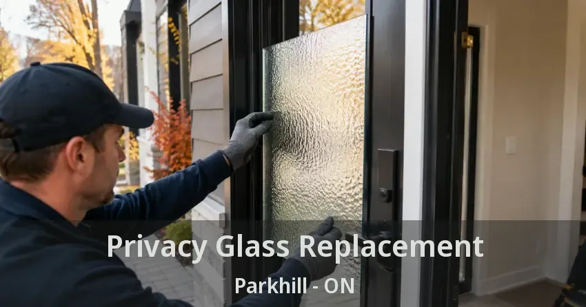 Privacy Glass Replacement Parkhill - ON