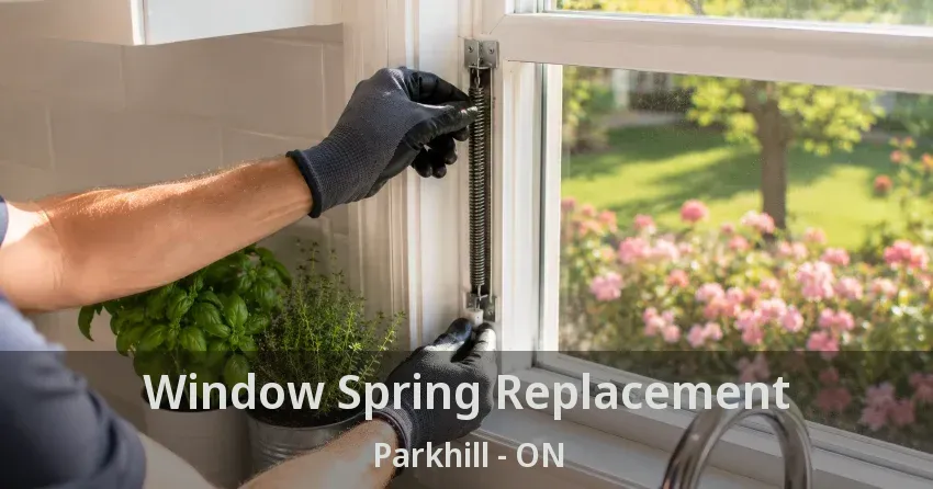 Window Spring Replacement Parkhill - ON